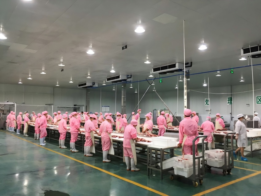 一只“羊”的逆袭：从深山走向百亿产业(图2)