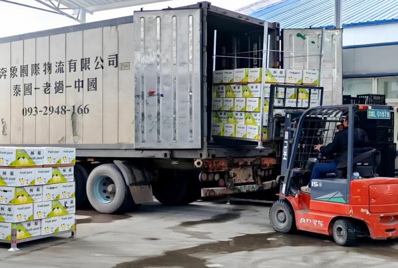 安徽砀山：“中国甜”香飘大洋洲外贸再上新台阶(图3)