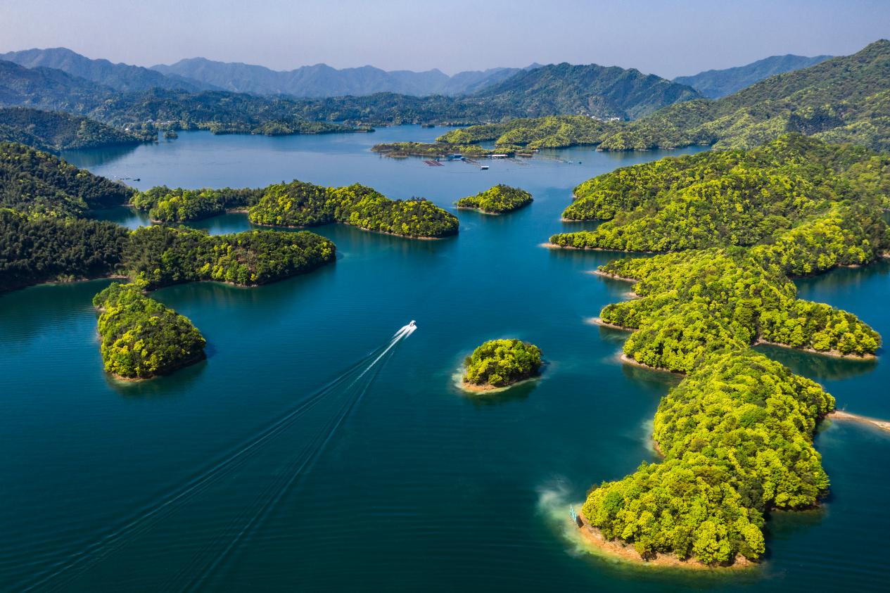 太平湖畔崛起“绿色引擎”(图1)