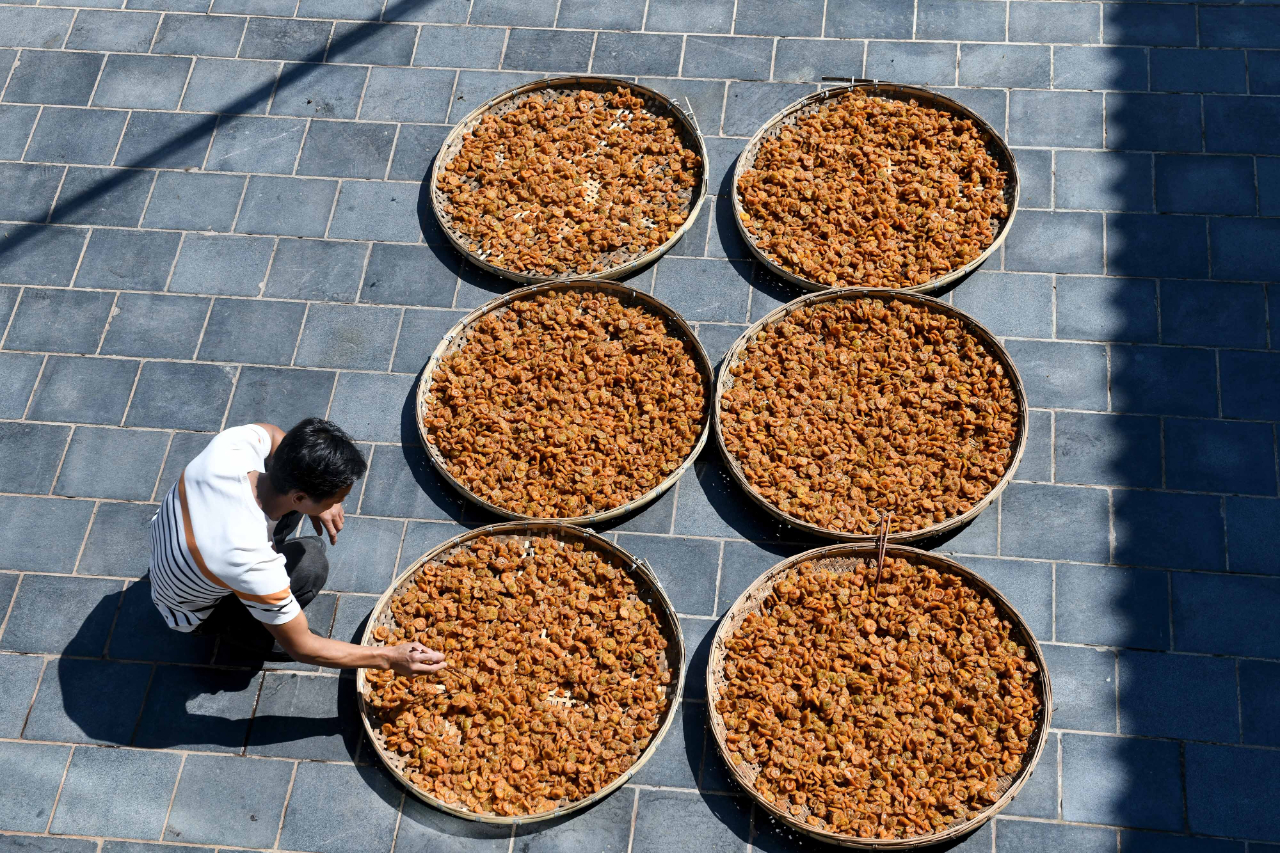 贵州黔南：山野果摇变黄金果致富之路越走越宽(图4)