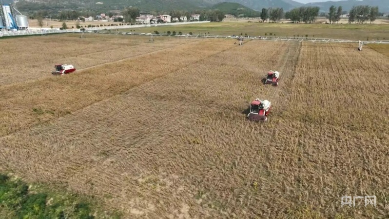 宿州市埇桥区:攥紧“中国芯片”端稳“中国饭碗”(图3)