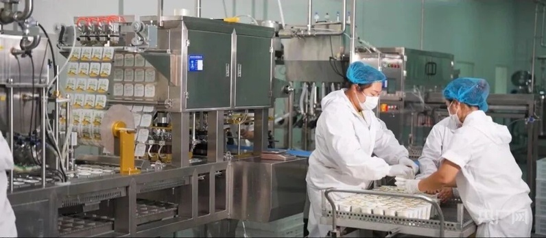 宿州市埇桥区:攥紧“中国芯片”端稳“中国饭碗”(图4)