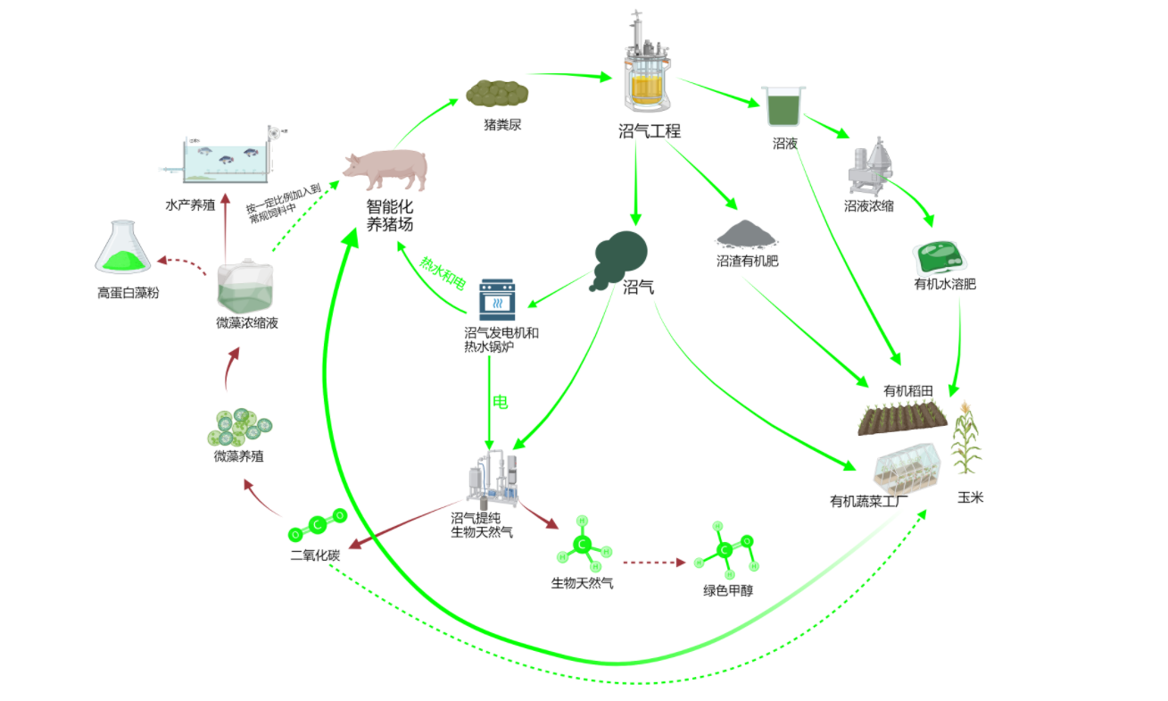 高质量发展看中国｜一环扣一环上海打造“无废城市”全链条治理样板(图8)