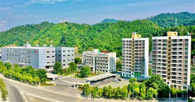 卖南酸枣糕年入超3亿中国最大南酸枣食品品牌齐云山赴港IPO毛利率超51%(图2)