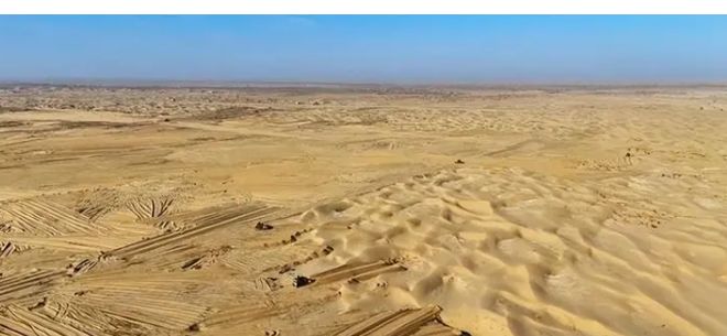 中国闹了个乌龙沙漠种麦本为保粮仓谁料金黄麦浪竟成治沙神器(图3)