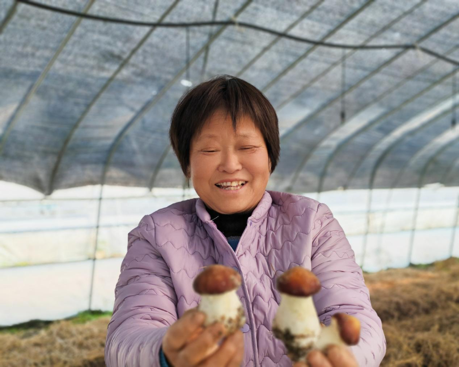 聚焦高质量发展|看这座皖北小城的“赶考”之路(图2)