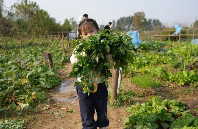 这拨年轻人争当田园主理人(图6)