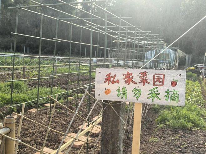 这拨年轻人争当田园主理人(图5)