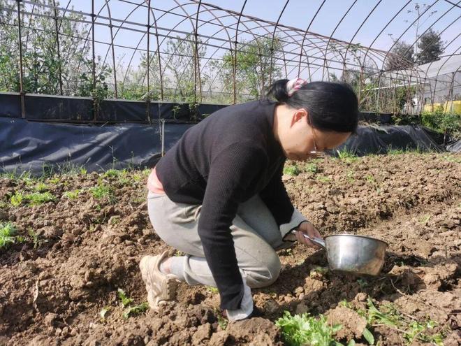 这拨年轻人争当田园主理人(图3)