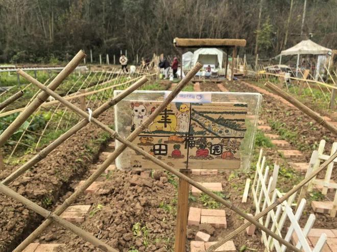 这拨年轻人争当田园主理人(图10)