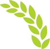 这拨年轻人争当田园主理人(图9)