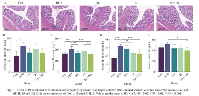 FSHW石榴汁联合菊粉改善高脂饮食所致代谢紊乱的作用与机制研究(图2)