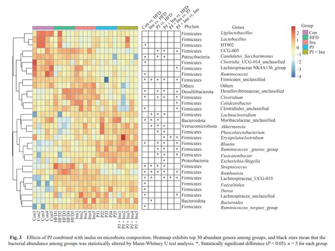 FSHW石榴汁联合菊粉改善高脂饮食所致代谢紊乱的作用与机制研究(图4)