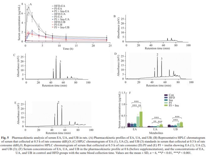 FSHW石榴汁联合菊粉改善高脂饮食所致代谢紊乱的作用与机制研究(图5)