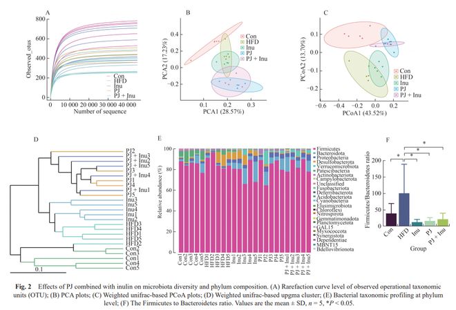 FSHW石榴汁联合菊粉改善高脂饮食所致代谢紊乱的作用与机制研究(图3)