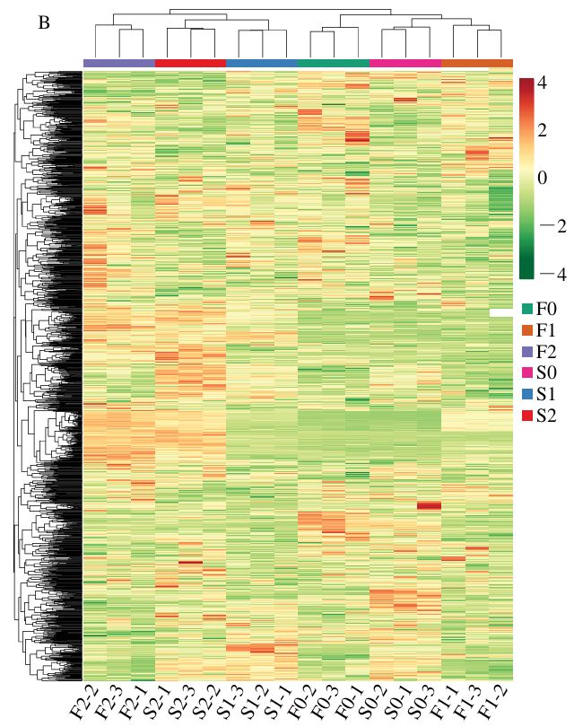 《食品科学》:福建省农业科学院叶新福研究员等:不同成熟度芙蓉李及其在低温贮藏过程中的代谢物差异分析(图3)