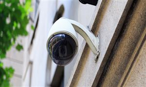 有机农业行业现状分析2023(图6)