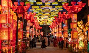 有机农业行业现状分析2023(图7)