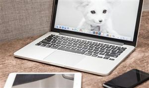 有机农业行业现状分析2023(图3)