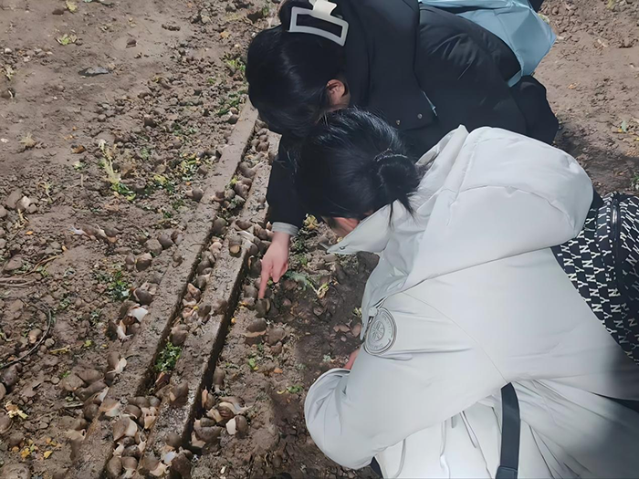 青春“蜗”途安庆师大学子书写循环农业新故事(图2)