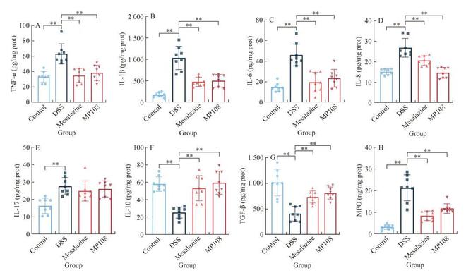 FSHW鼠李糖乳杆菌MP108通过增强肠道屏障、抑制炎症和调节肠道菌物群减轻小鼠溃疡性结肠炎(图7)
