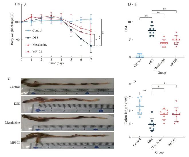 FSHW鼠李糖乳杆菌MP108通过增强肠道屏障、抑制炎症和调节肠道菌物群减轻小鼠溃疡性结肠炎(图2)