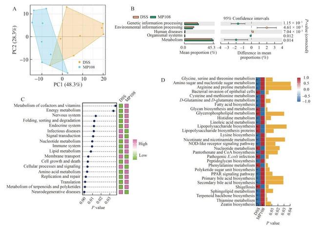 FSHW鼠李糖乳杆菌MP108通过增强肠道屏障、抑制炎症和调节肠道菌物群减轻小鼠溃疡性结肠炎(图8)