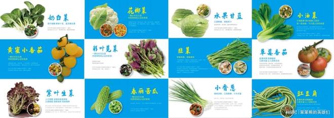 深度观察｜中国乡村无声革命：智慧工厂如何改写14亿人餐桌未来(图2)