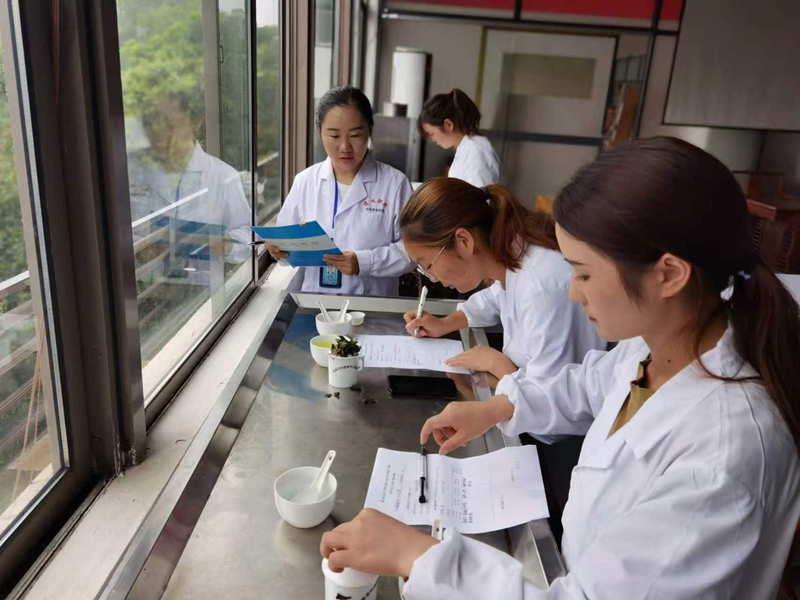 从指尖到舌尖！遵义职院“新茶人”炒出“产教融合春天”(图2)