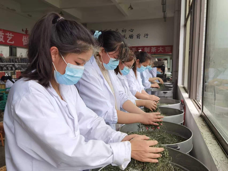 从指尖到舌尖！遵义职院“新茶人”炒出“产教融合春天”(图4)