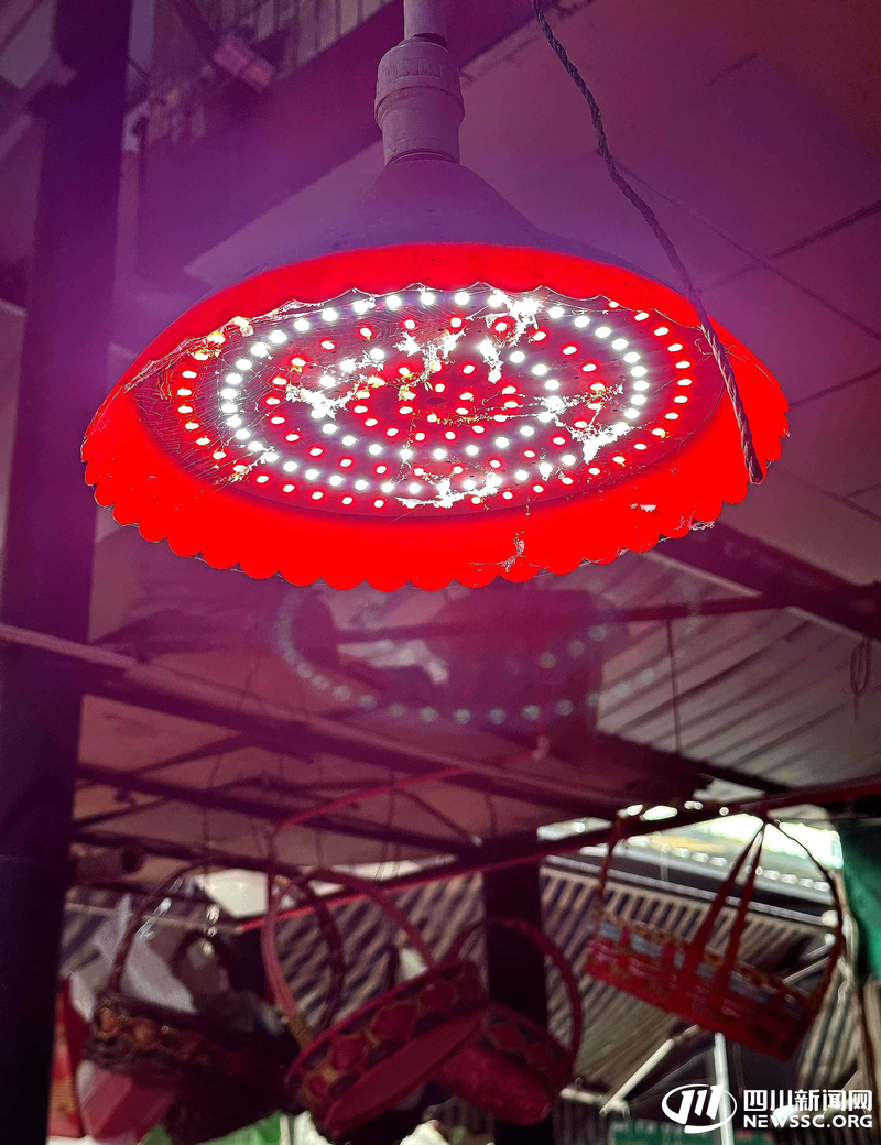 菜市场的生鲜“素颜令”来了！记者实地探访成都市场｜民情瞭望(图1)