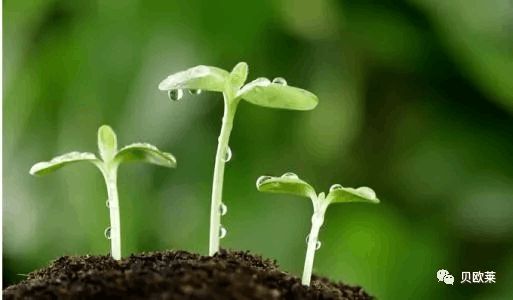 聚焦：全球最新有机农业报告美国稳居有机食品第一！(图1)