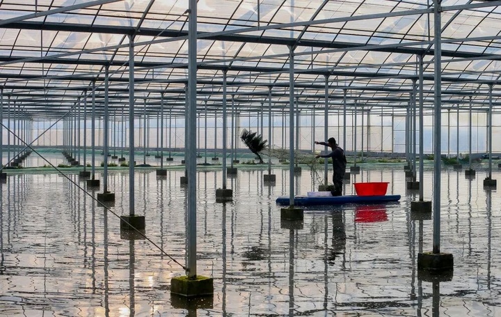 【开局之年看中国·遇见不一样的江苏】全国抢养龙虾江苏靠什么打赢品牌战？(图2)