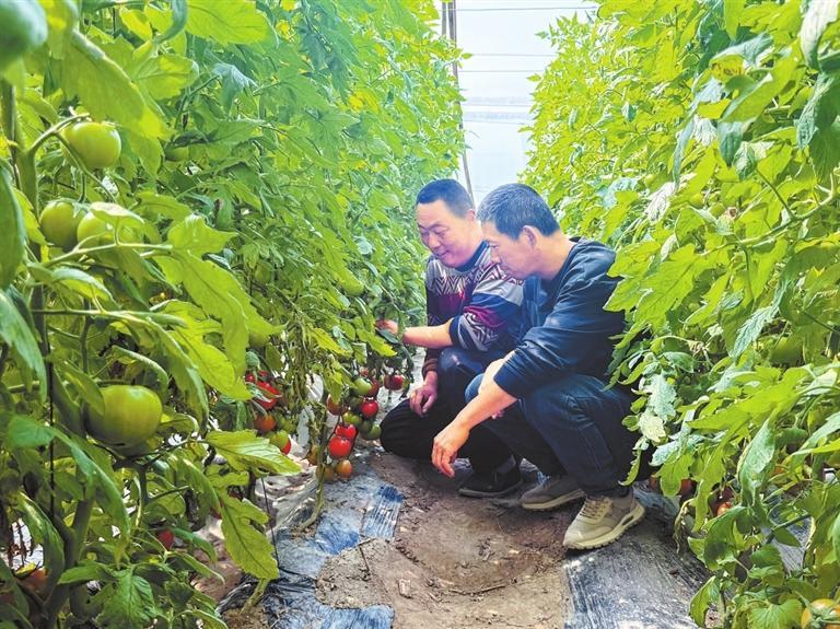 河西走廊逐春光戈壁绿洲绘新景(图1)