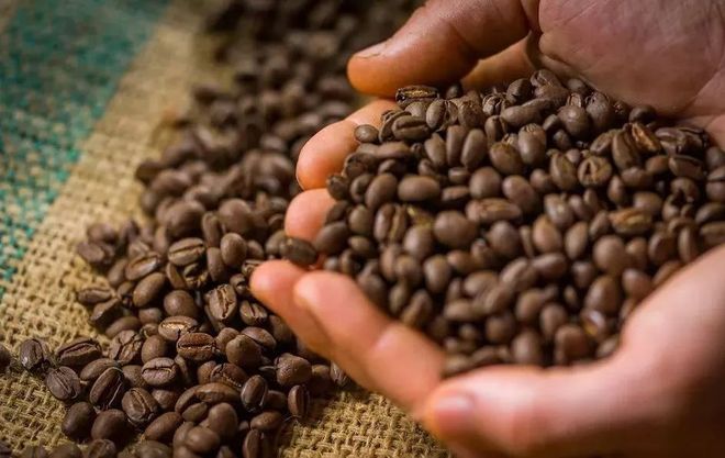 2020年全球有机农业发展报告概述（附数据）(图18)