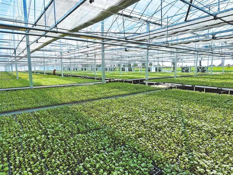 河西走廊逐春光戈壁绿洲绘新景-新华网(图1)