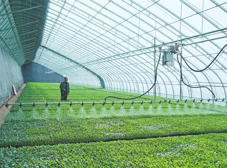 河西走廊逐春光戈壁绿洲绘新景-新华网(图3)