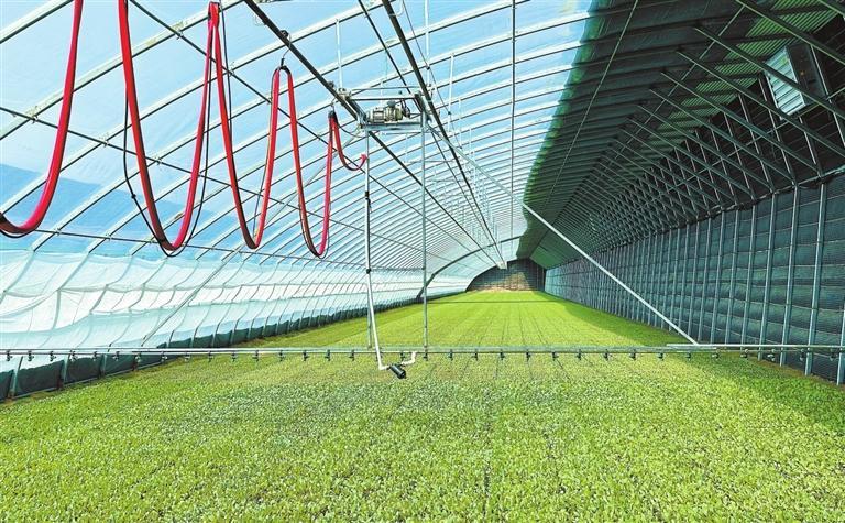 河西走廊逐春光戈壁绿洲绘新景-新华网(图4)