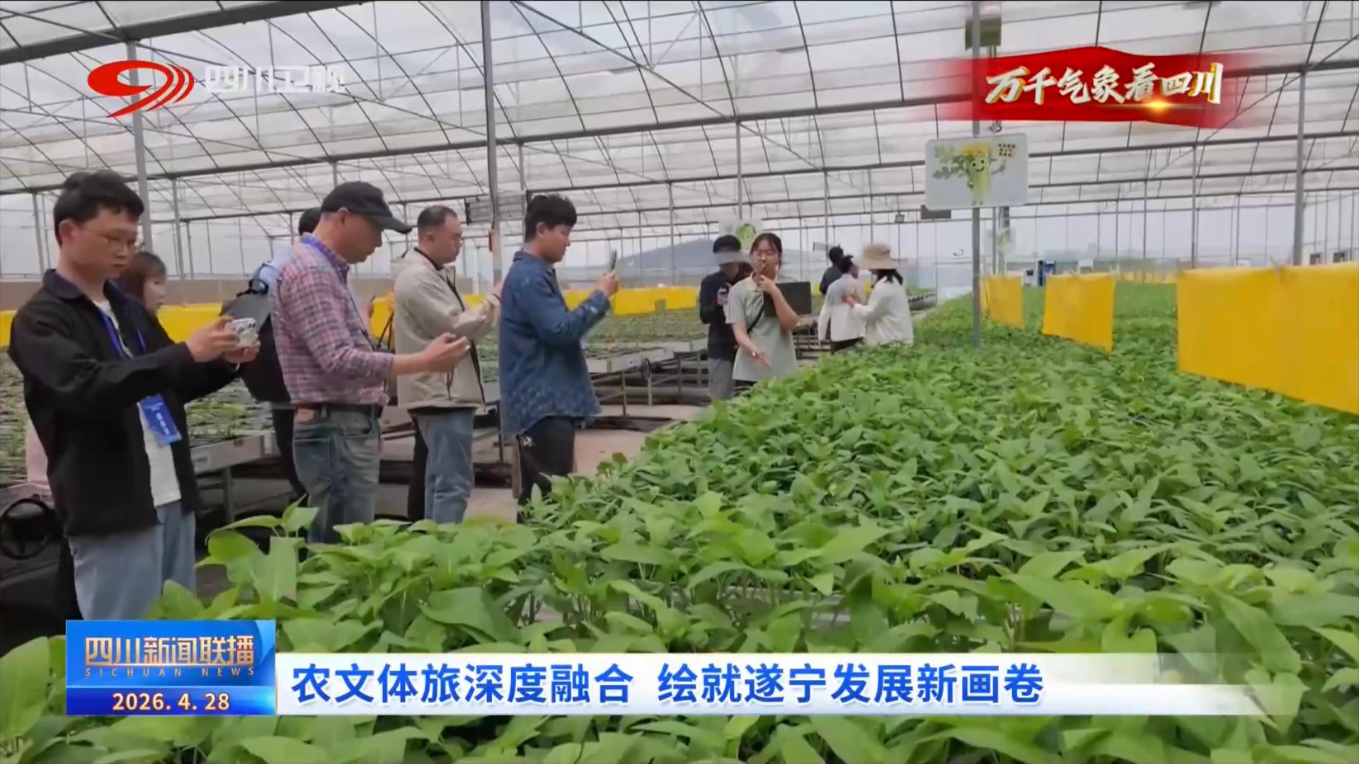 四川新闻联播丨农文体旅深度融合绘就遂宁发展新画卷(图2)