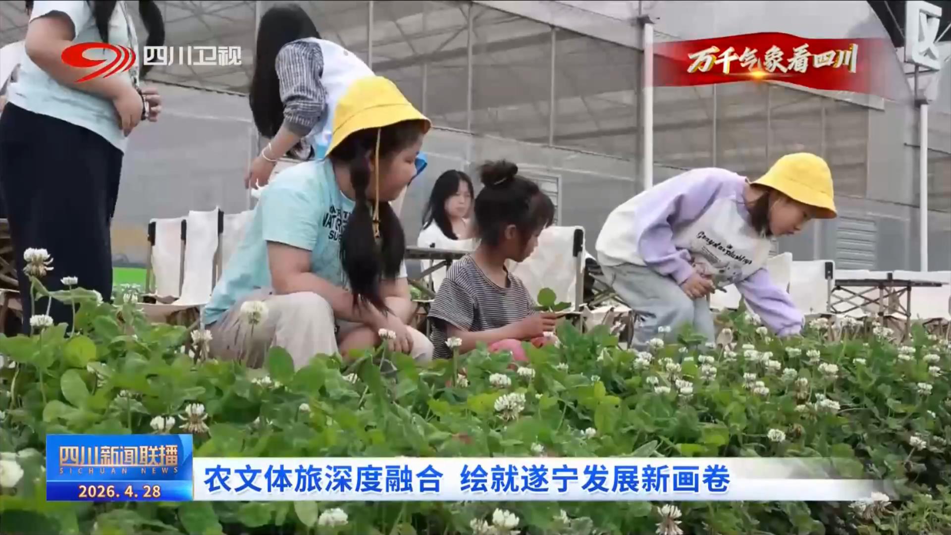 四川新闻联播丨农文体旅深度融合绘就遂宁发展新画卷(图4)