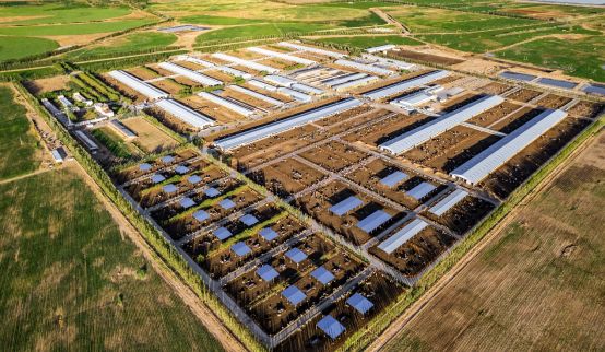 蒙牛发布可持续发展报告：GREEN战略引领ESG价值跃升(图4)