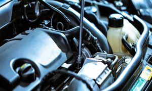 中国蔬菜行业现状深度研究2023蔬菜行业现状与市场发展前景趋势分析(图2)