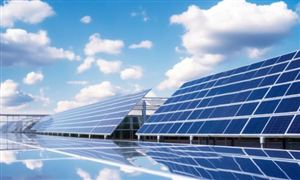 中国蔬菜行业现状深度研究2023蔬菜行业现状与市场发展前景趋势分析(图4)