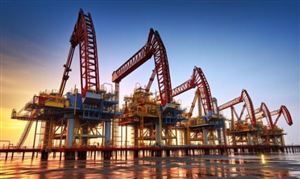 中国蔬菜行业现状深度研究2023蔬菜行业现状与市场发展前景趋势分析(图7)