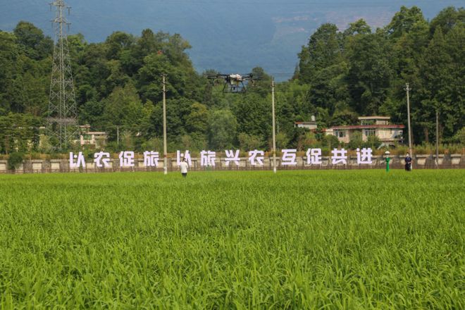 雅安厉害了全省第一！(图1)