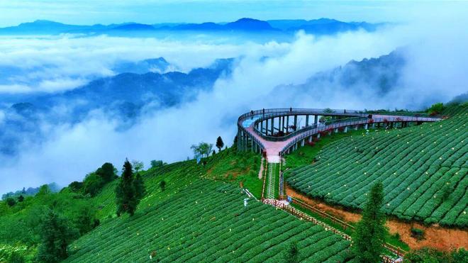 雅安厉害了全省第一！(图2)